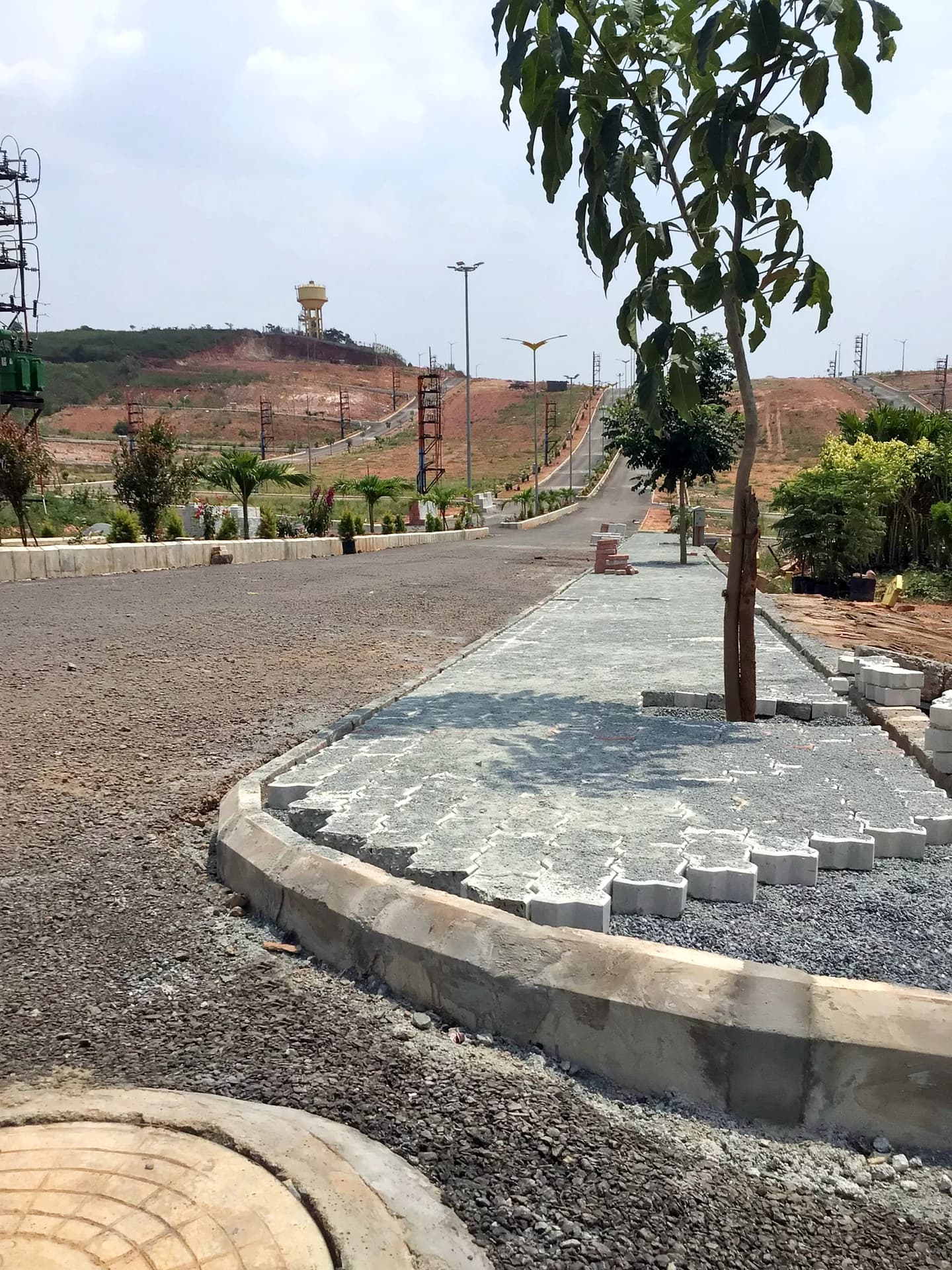 Interlocking Paver Laying & Avenue Tree Planting